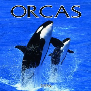 Orca Calendar