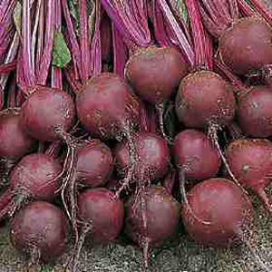 Unbranded Organic Beetroot Boro Seeds