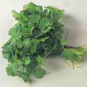 Unbranded Organic Coriander Leaf Seeds