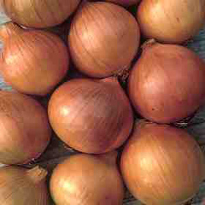 Unbranded Organic Onion Hystar Seeds