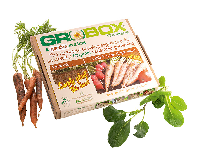 Unbranded Organic Veg Gro Box plus Flowers - Buy Both Offer