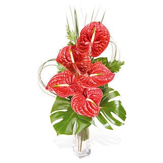 Unbranded Oriental Flame