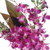 Unbranded Oriental Orchids