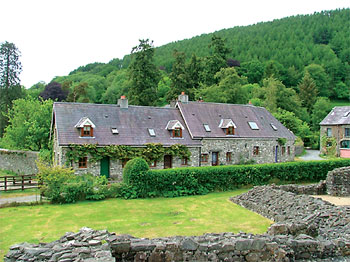 Unbranded Otters Holt