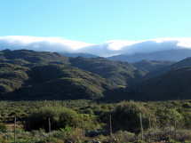 Oudtshoorn Tour - Adult