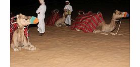 Unbranded Overnight Safari and Breakfast with a Bedouin -