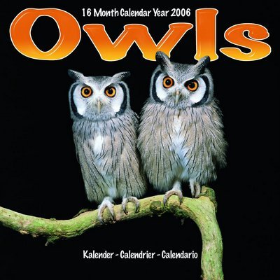 Owls Calendar