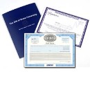 Calling all Petrol heads! You can now buy a Share direct from thedoghouse.co.uk in your favourite