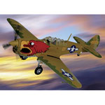 A detailed collector quality diecast replica of the  P-40 Warhawk Napier Filed Alabama 1943. Each Ar