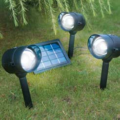 Pack 3 Solar Spotlights - Use to pick out special features in your garden. With white LED for