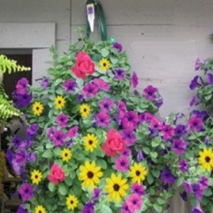 Unbranded Pack of 2 Long Hanging Planters (GA31362)