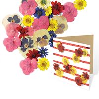 Pack Of 40 Real Pressed Flowers