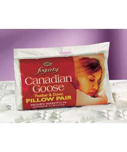 Pair of Canadian Goose Feather and Down Pillows