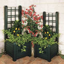 Pair Wooden Planters