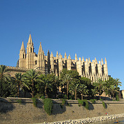 Unbranded Palma Culture and Shopping - Adult