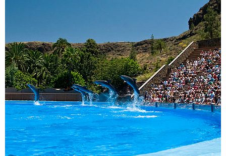 Palmitos Park Gran Canaria - Intro Treat the family to a fun and educational day out at the Palmitos Park in Gran Canaria home to thousands of land and sea creatures from hundreds of different species in the spectacular natural setting of the Palmito