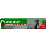 Unbranded Panacur Equine Paste (24g)