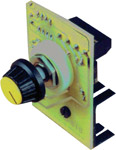 Panel Mounted Speed Regulator Module ( Panel