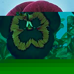 Unbranded Pansy Poker Face F2 Seeds