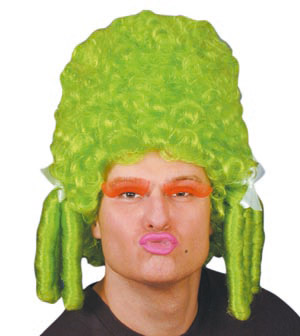 Unbranded Panto Dame wig, green