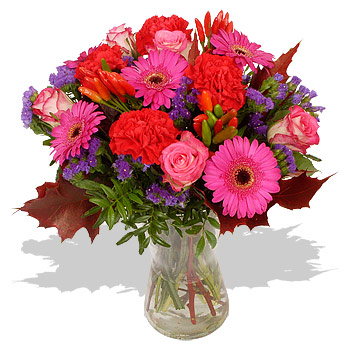 Unbranded Paprika - flowers