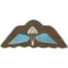 Unbranded Parachute Wings Cloth Badge