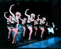 Unbranded Paradis Latin Menu Prestige Cordon Bleu Adult