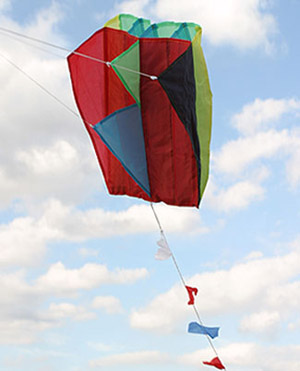 Unbranded Parafoil Kite