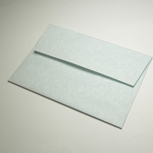 Unbranded Parchment Blue Envelopes C5