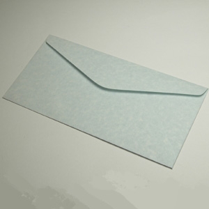 Unbranded Parchment Blue Envelopes DL