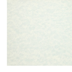 Unbranded Parchment Blue Paper
