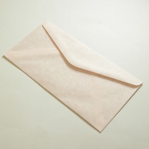 Unbranded Parchment Pink Envelopes DL