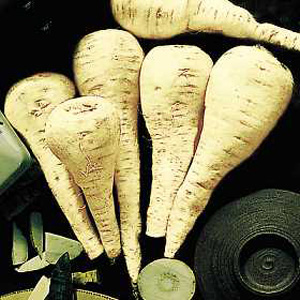 Unbranded Parsnip Avonresister Seeds