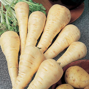 Unbranded Parsnip Gladiator F1 Seeds