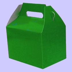Party box - Green