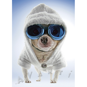 Unbranded Party In The Hood Birthday Card