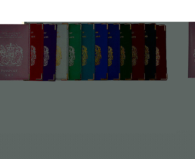 Unbranded Passport cover and tag (2) navy, plain (PEE)