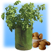 Unbranded Patio and Garden Potato Planter