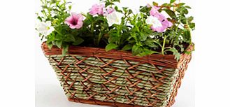 Unbranded Patio Basket Planters