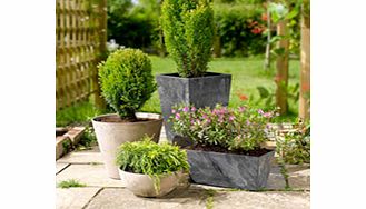 Unbranded Patio Planters - Pot Taupe