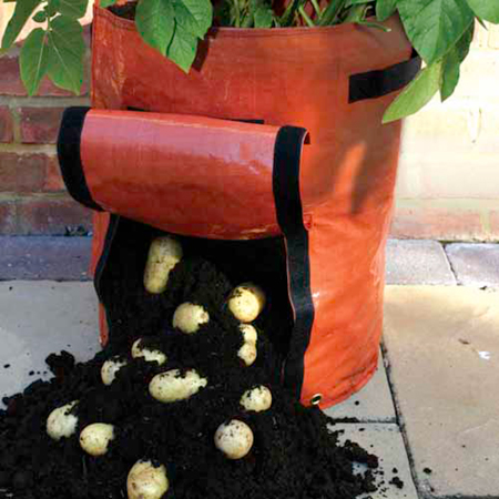 Unbranded Patio Potato Planters Pack of 2