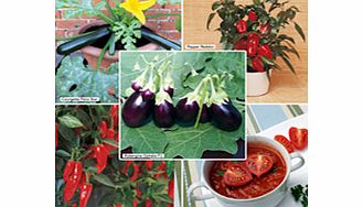 Unbranded Patio Vegetable Plants - Collection