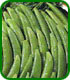 Unbranded Pea Mangetout Seeds