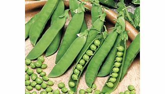 Unbranded Pea Seeds - Continuity Duo Pack