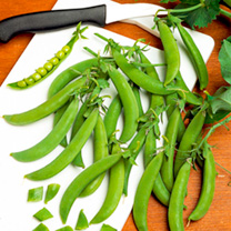 Unbranded Pea Seeds - Sugar Bon