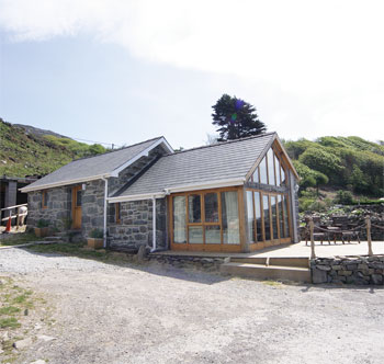 Unbranded Penty Buwch