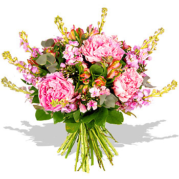 Unbranded Peonies and Stocks - flowers