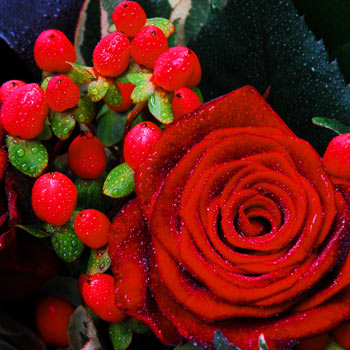 Love Flowers Pictures on Alert Link To This Page More Unbranded Flowers And Flower Delivery