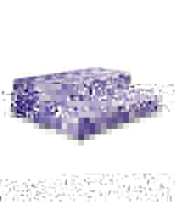 Perfecta Guest Bed Visitor