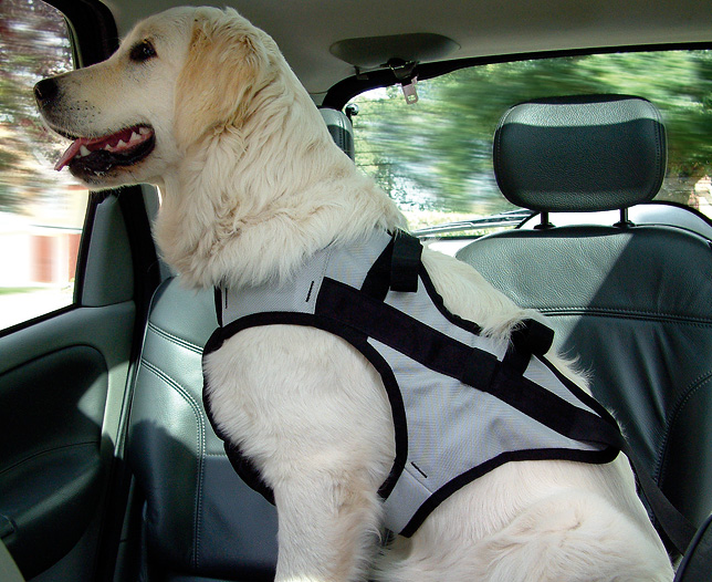 Unbranded Pet Harness - Extra Large